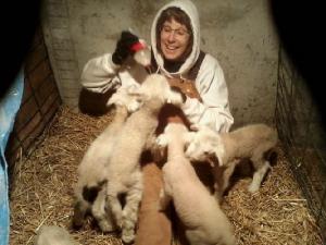 Bonus lambs have potential to turn into bonus business.