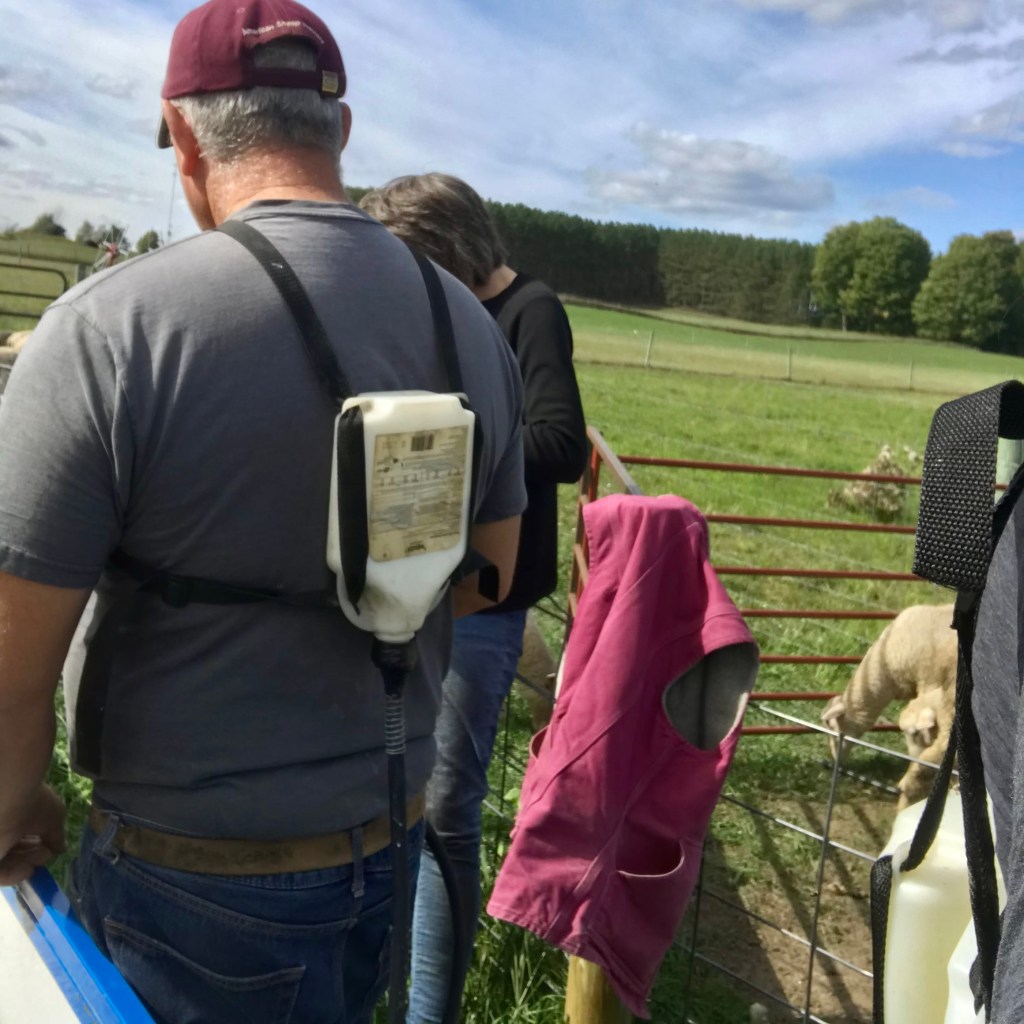sheep dewormer backpack